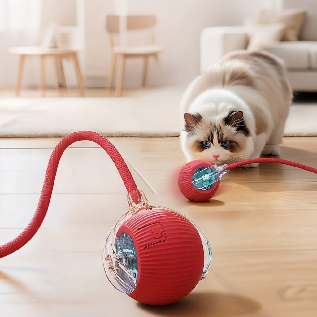 自動猫用おもちゃボール：知能型電動ボール